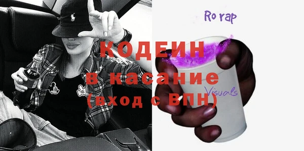 соль ск Гатчина