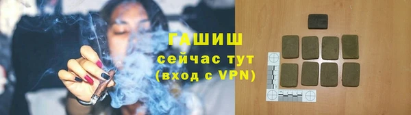 PSILOCYBIN Галич