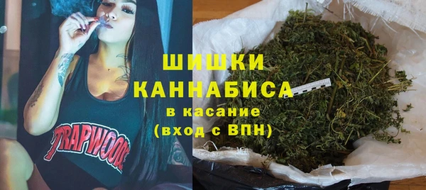 прущие грибы Козельск