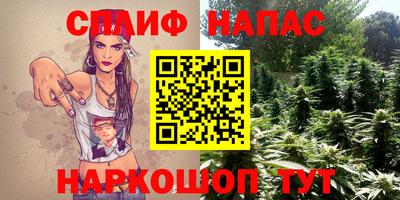 мдпв Краснознаменск