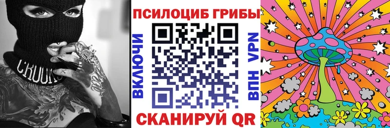Галлюциногенные грибы Cubensis  Красный Сулин 