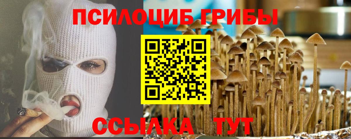 Галлюциногенные грибы Cubensis  Псилоцибиновые грибы GOLDEN TEACHER  Красный Сулин  Вход с VPN 